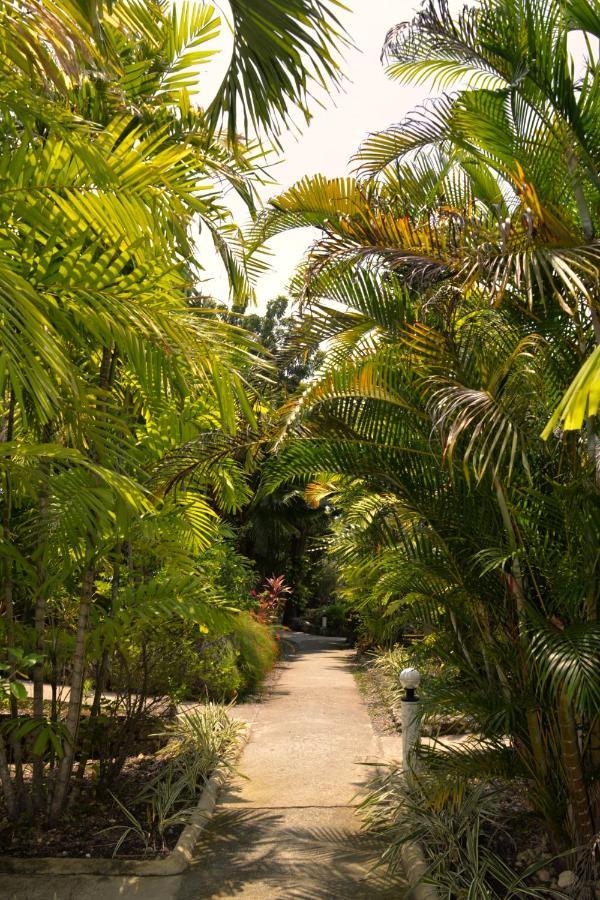 Marcosas Cottages Resort Моалбоал Екстер'єр фото